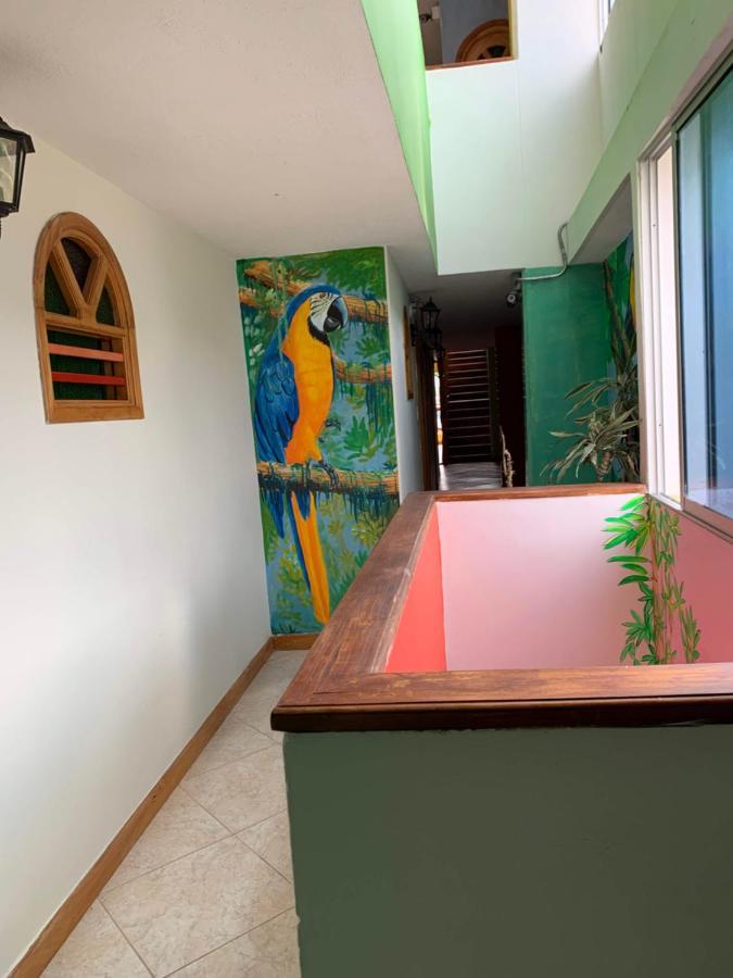 Hotel Las Guacamayas Guatapé 外观 照片